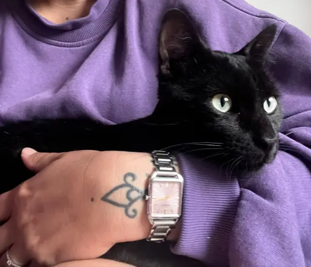 chat lost    Strasbourg Axel