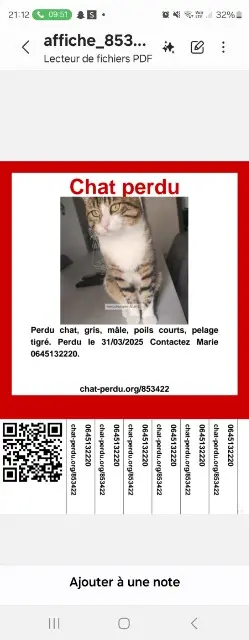 chat lost   68600 Biesheim Bonjouk