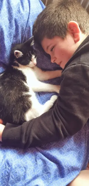 chat lost   68830 Oderen Guimli