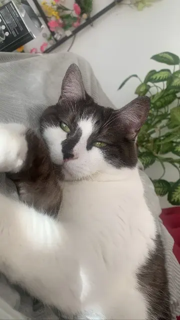 chat lost   68128 Rosenau Olaf