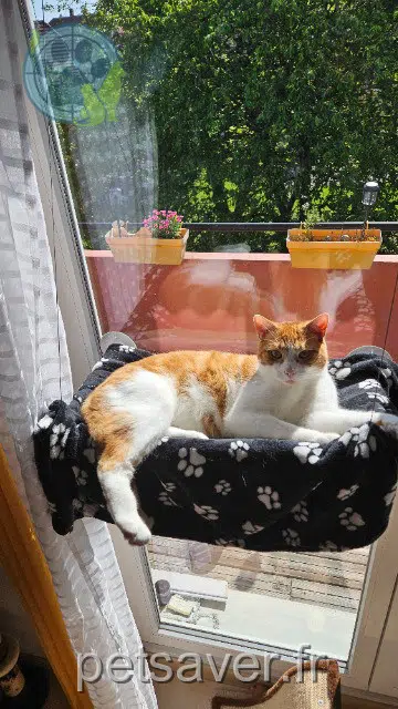 chat lost 68127 Niederentzen Twix