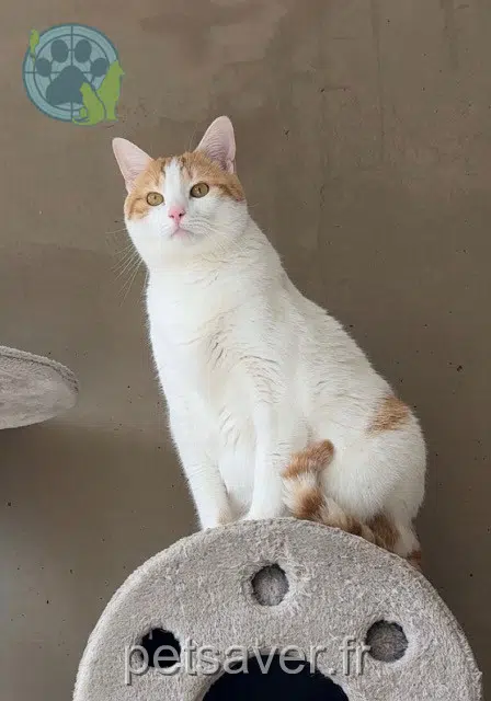 Yuki