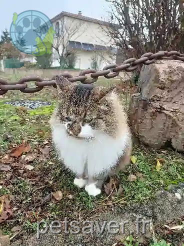 Chat Perdu 69 Rhône - Ganja Chat Perdu 69 Rhône - Ganja