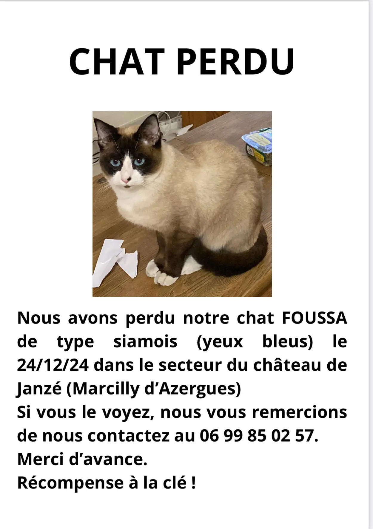 Chat Perdu 69 Rhône Chat Perdu 69 Rhône