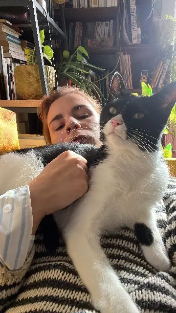 chat lost    Lyon Blaise