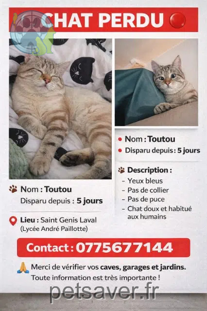 gato perdido 69230 Saint-Genis-Laval Toutou gato lost 69230 Saint-Genis-Laval Toutou