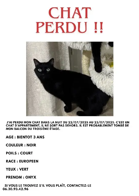 chat lost   69100 Villeurbanne Cvv