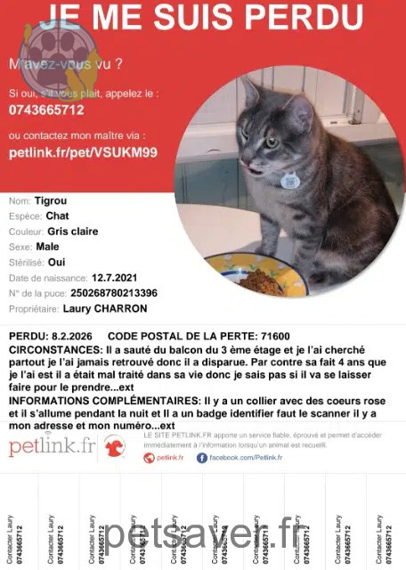 Kater vermisst 71600 Paray-le-Monial Tigrou Kater lost 71600 Paray-le-Monial Tigrou