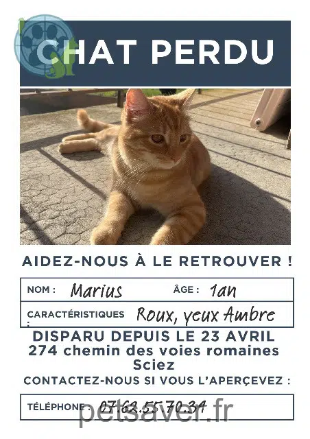 chat lost   74140 Sciez Marius