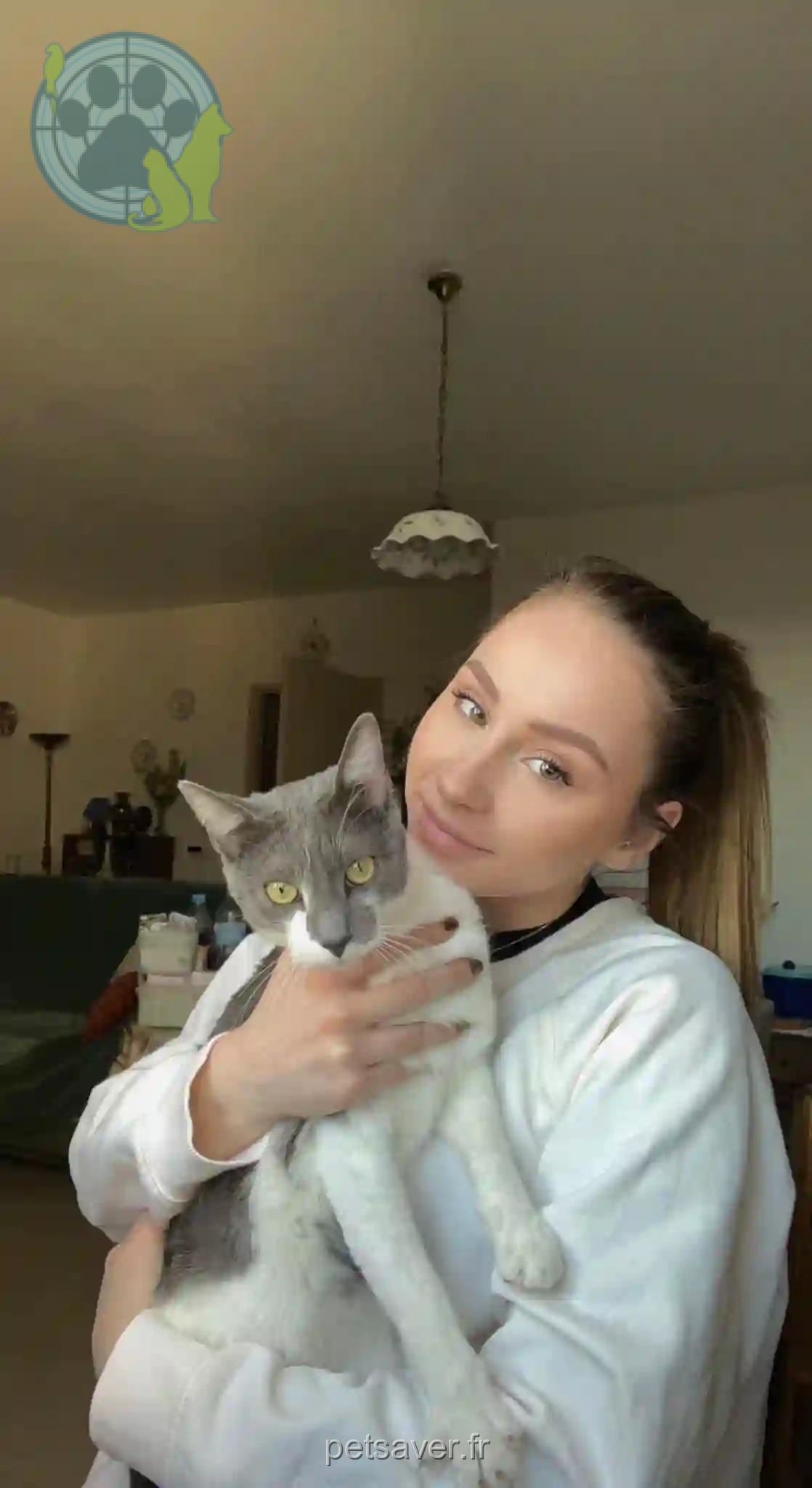 Chat Perdu 74 Haute-Savoie - Roméo Chat Perdu 74 Haute-Savoie - Roméo