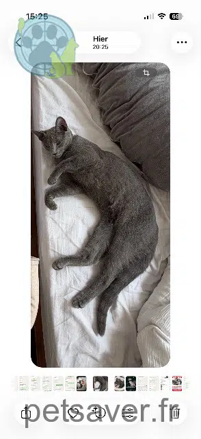 Bel