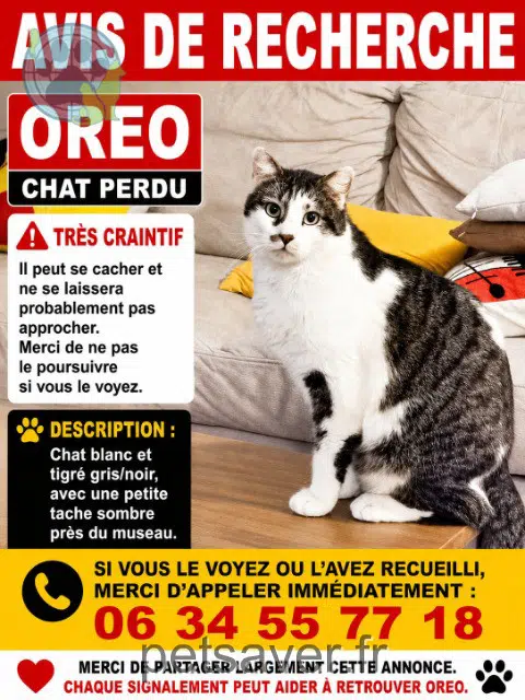 kater lost    Paris Oreo