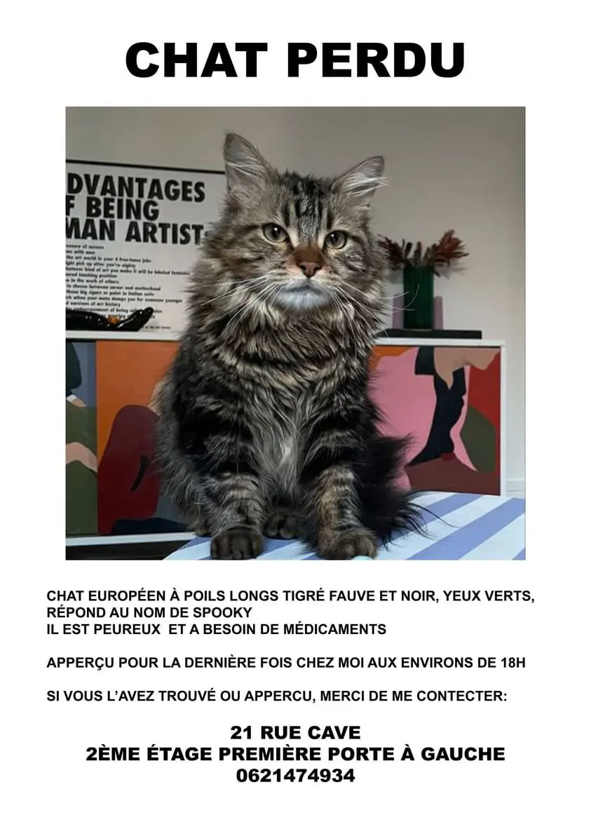 Chat Perdu 75C Paris - Spooky Chat Perdu 75C Paris - Spooky