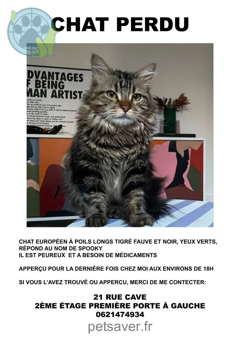 Chat Perdu 75C Paris - Spooky Chat Perdu 75C Paris - Spooky