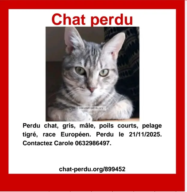 chat lost   76190 Auzebosc Jabba