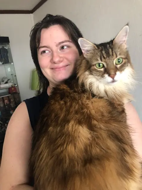 chat lost   77200 Torcy Kalyfa