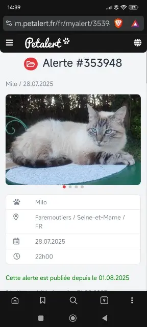 chat lost   77515 Faremoutiers Milo
