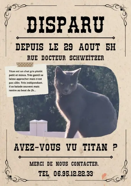 chat lost   77650 Sainte-Colombe Titan