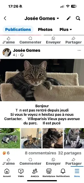chat lost   77270 Villeparisis TY