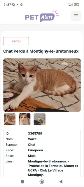 chat lost   78180 Montigny-le-Bretonneux Waze
