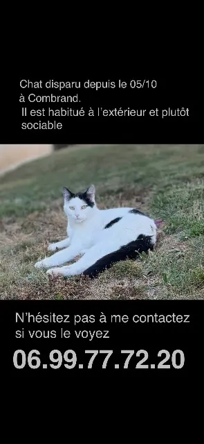 chat lost   79140 Combrand Uther