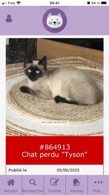 chat lost    Amiens Tyson