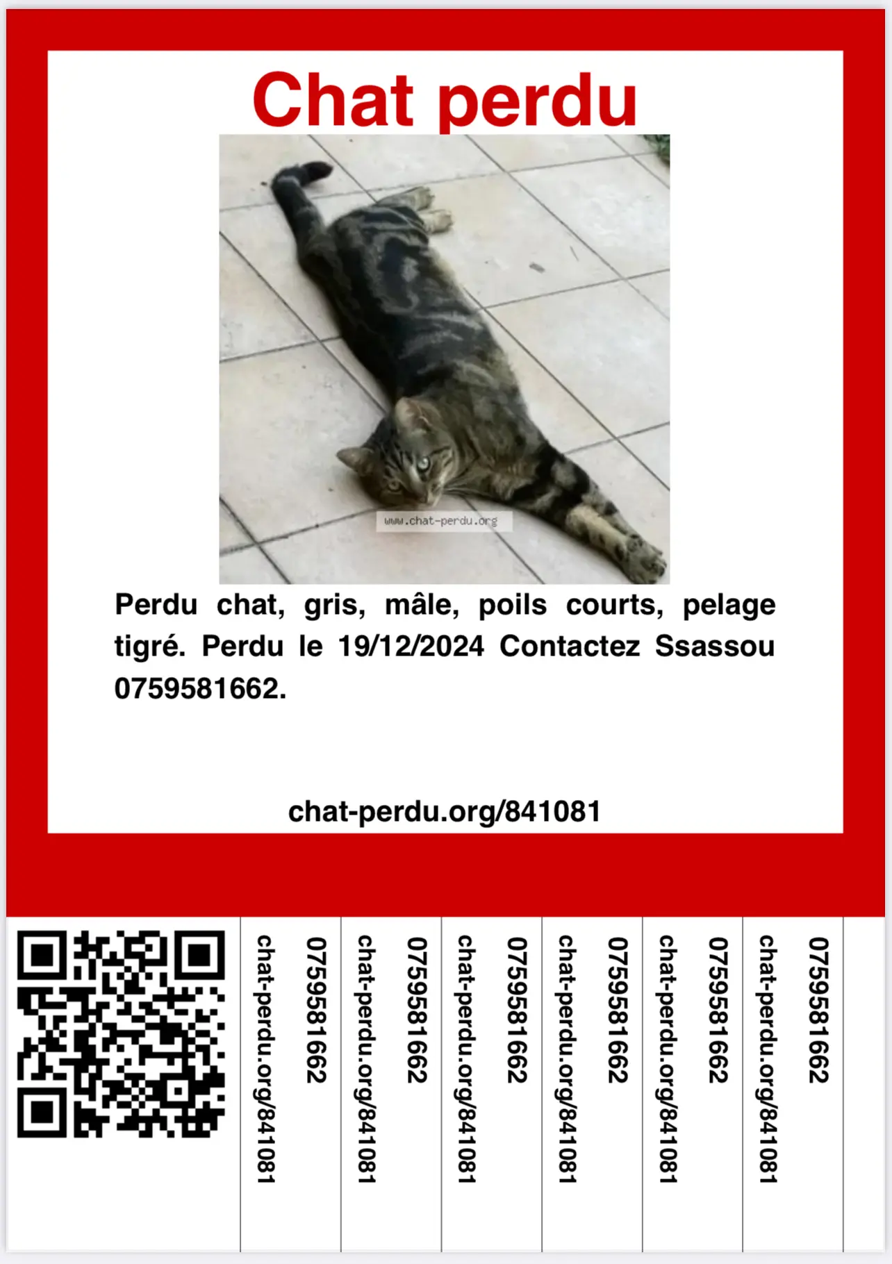 Chat Perdu 83 Var Chat Perdu 83 Var