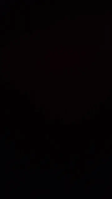 chat lost   83136 Néoules Oscar