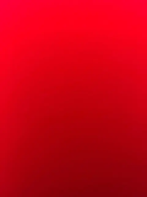 chat lost   83136 Néoules Pscar