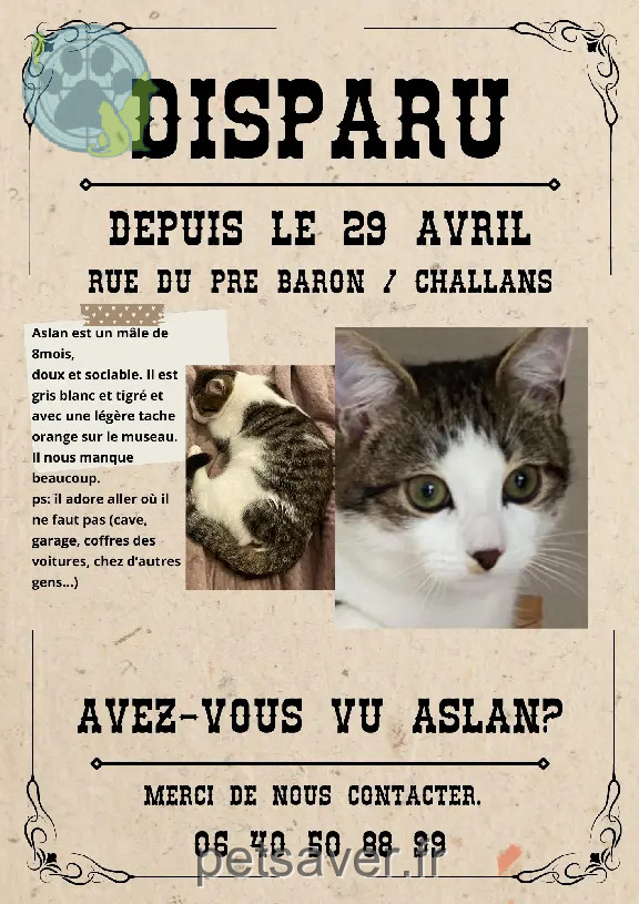 Chat Perdu 85 Vendée - Aslan Chat Perdu 85 Vendée - Aslan