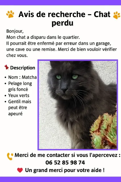 chat perdu 86500 Moulismes Creermatcha chat lost 86500 Moulismes Creermatcha