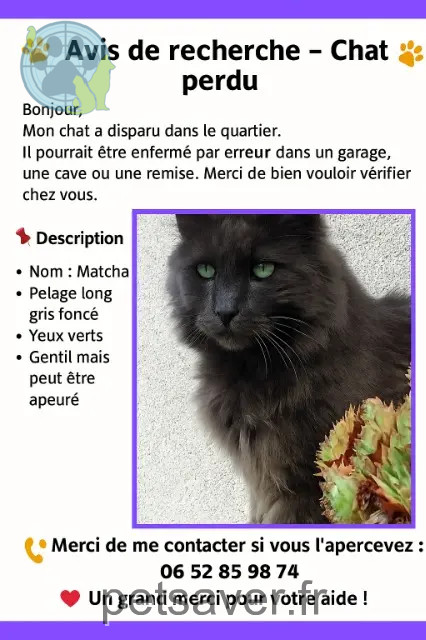 Kater vermisst 86500 Moulismes Creermatcha Kater lost 86500 Moulismes Creermatcha