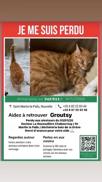 chat lost   86380 Chabournay Groutsy