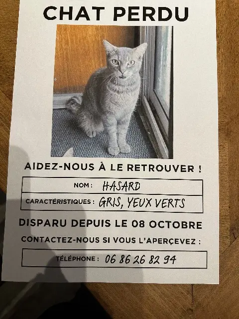 chat lost   86800 Saint-Julien-l'Ars Hasard