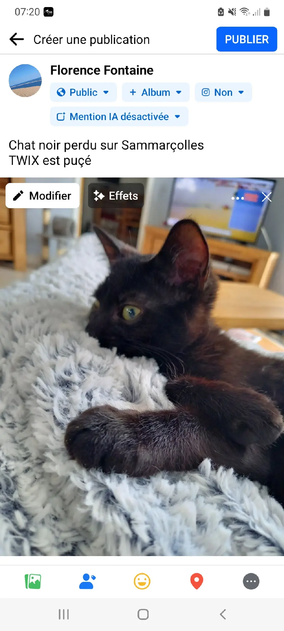 Chat Perdu 86 Vienne - Twix Chat Perdu 86 Vienne - Twix