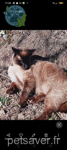 kater lost   88220 Hadol Nougat