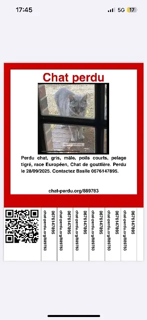 chat lost   89240 Diges Grisgris