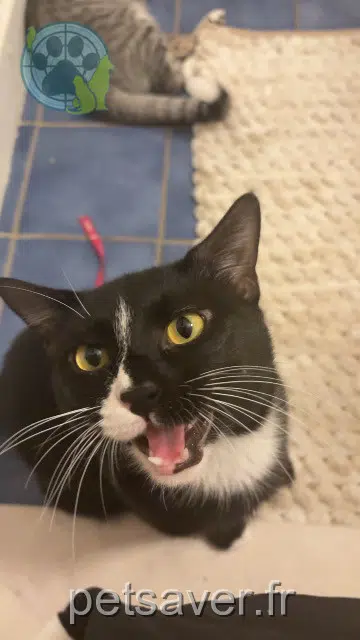 Milo