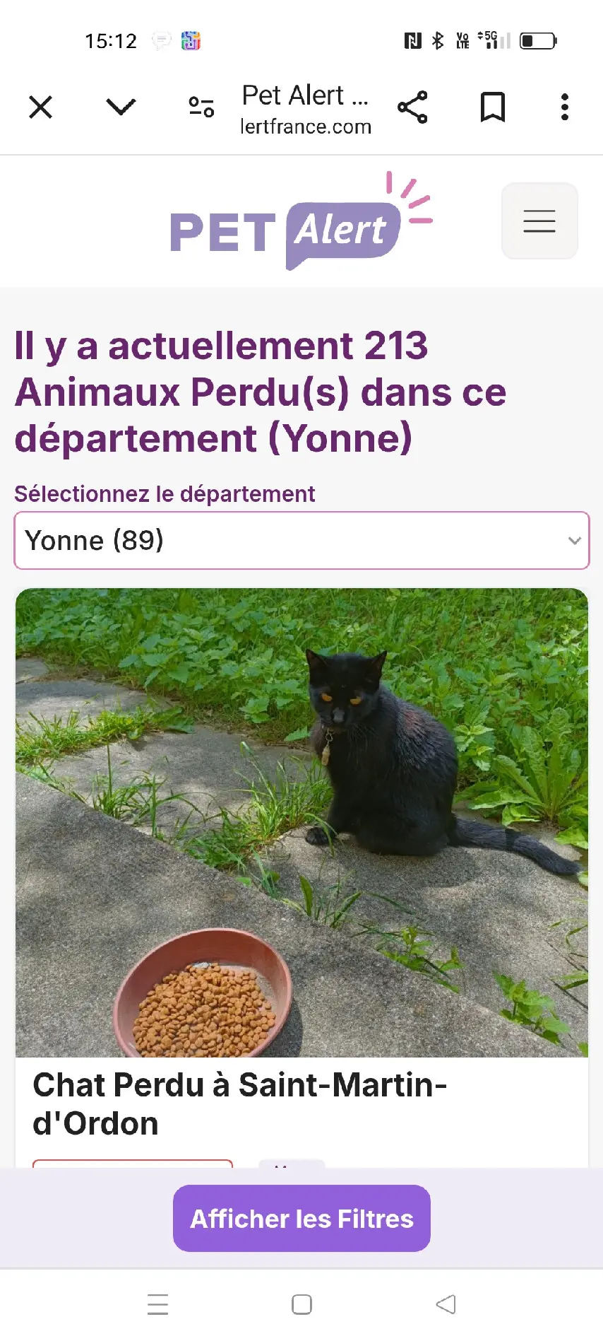 Chat Perdu 89 Yonne - Réglisse Chat Perdu 89 Yonne - Réglisse