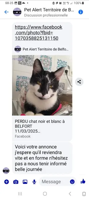 chat lost   90000 Belfort Kinder