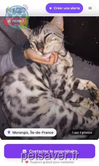 chat lost 91420 Morangis Tagada