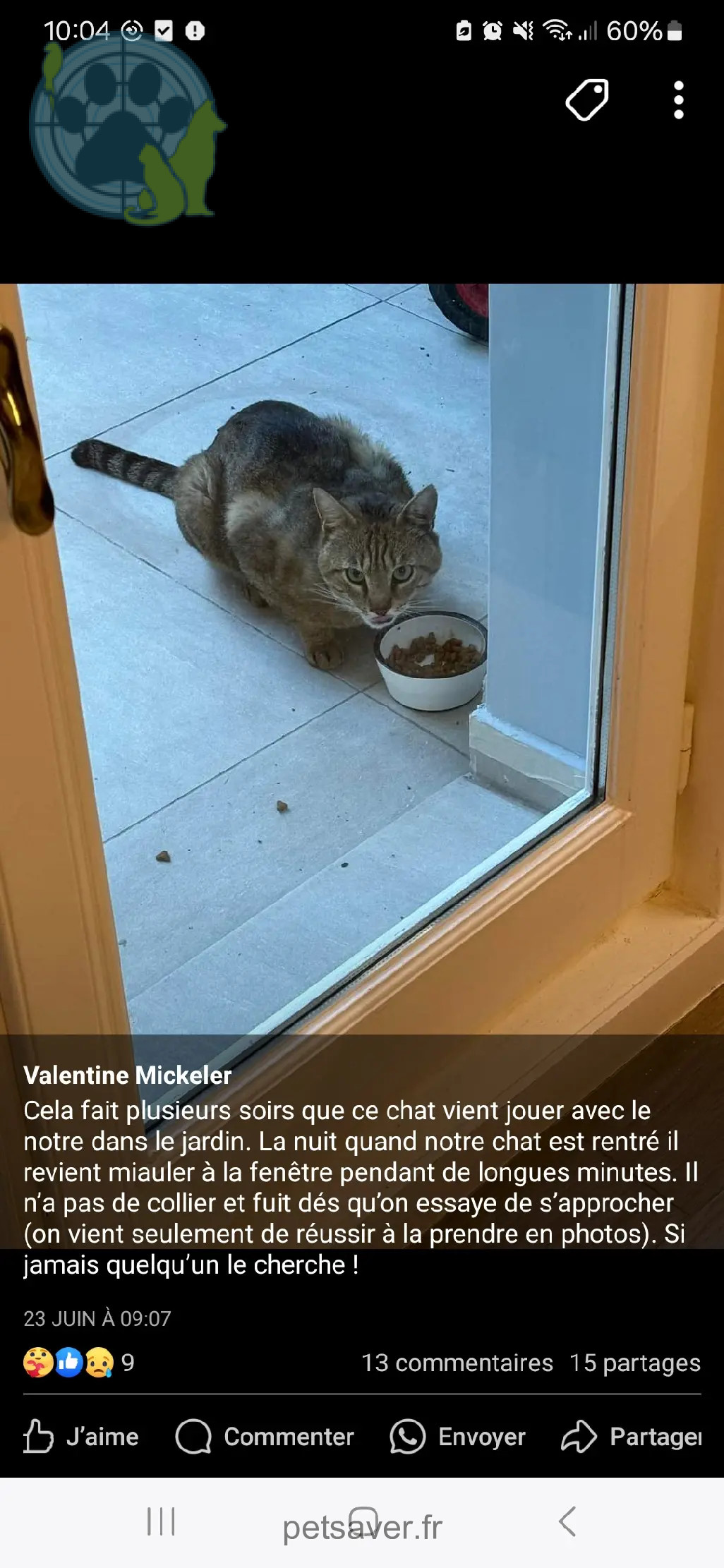 Chat Perdu 92 Hauts-de-Seine Boulogne-Billancourt - Milou Chat Perdu 92 Hauts-de-Seine Boulogne-Billancourt - Milou