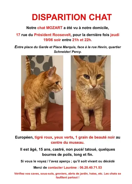 chat lost   92140 Clamart Mozart