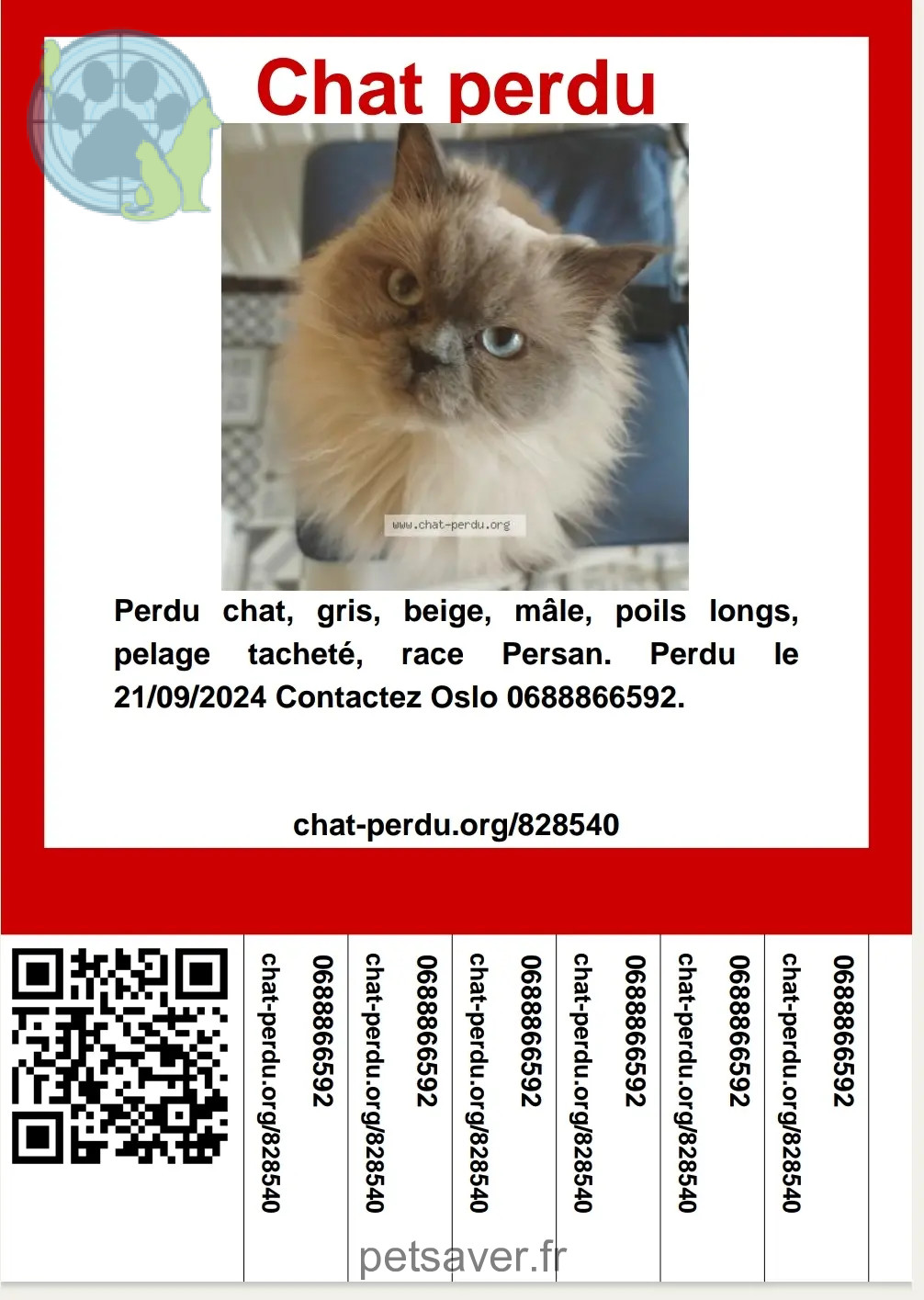 Chat Perdu 92 Hauts-de-Seine - Oslo Chat Perdu 92 Hauts-de-Seine - Oslo