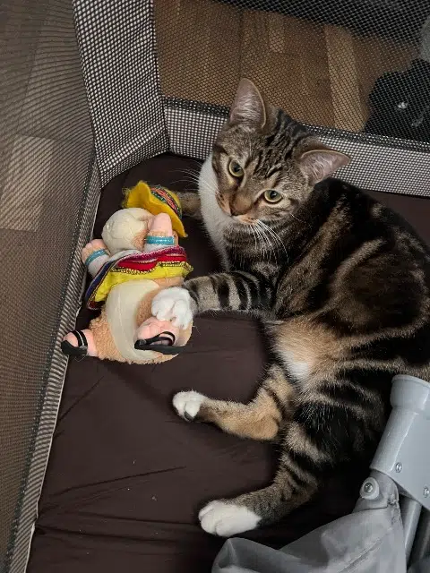 chat lost   92160 Antony Wukong