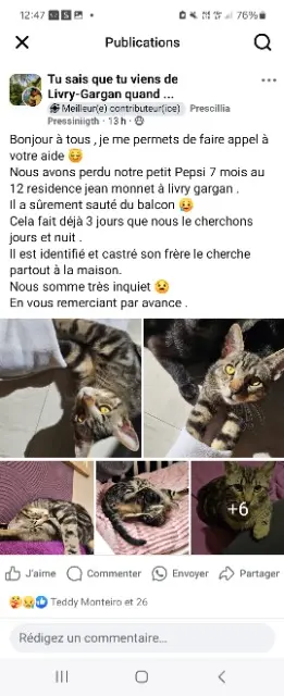 chat lost   93190 Livry-Gargan Pepsi