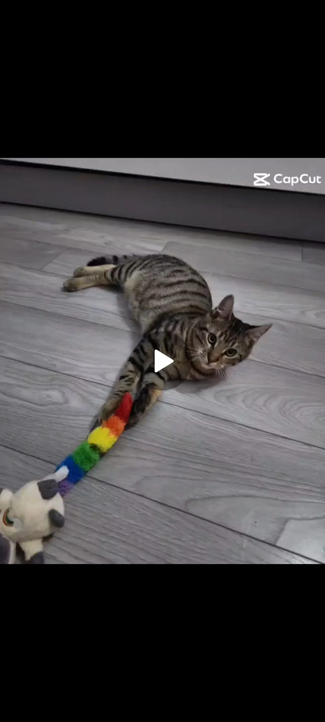 chat lost   95120 Ermont Hector