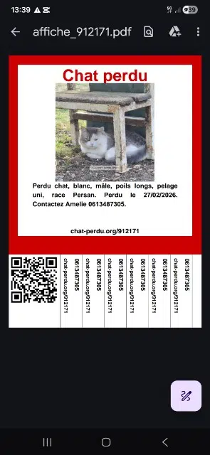 Kater vermisst 95620 Parmain Upa Kater lost 95620 Parmain Upa
