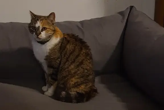 Val-de-Ruz - Passoa Val-de-Ruz - Passoa