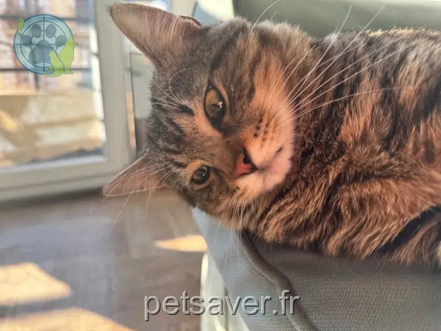 chat reunited    Nice Aki